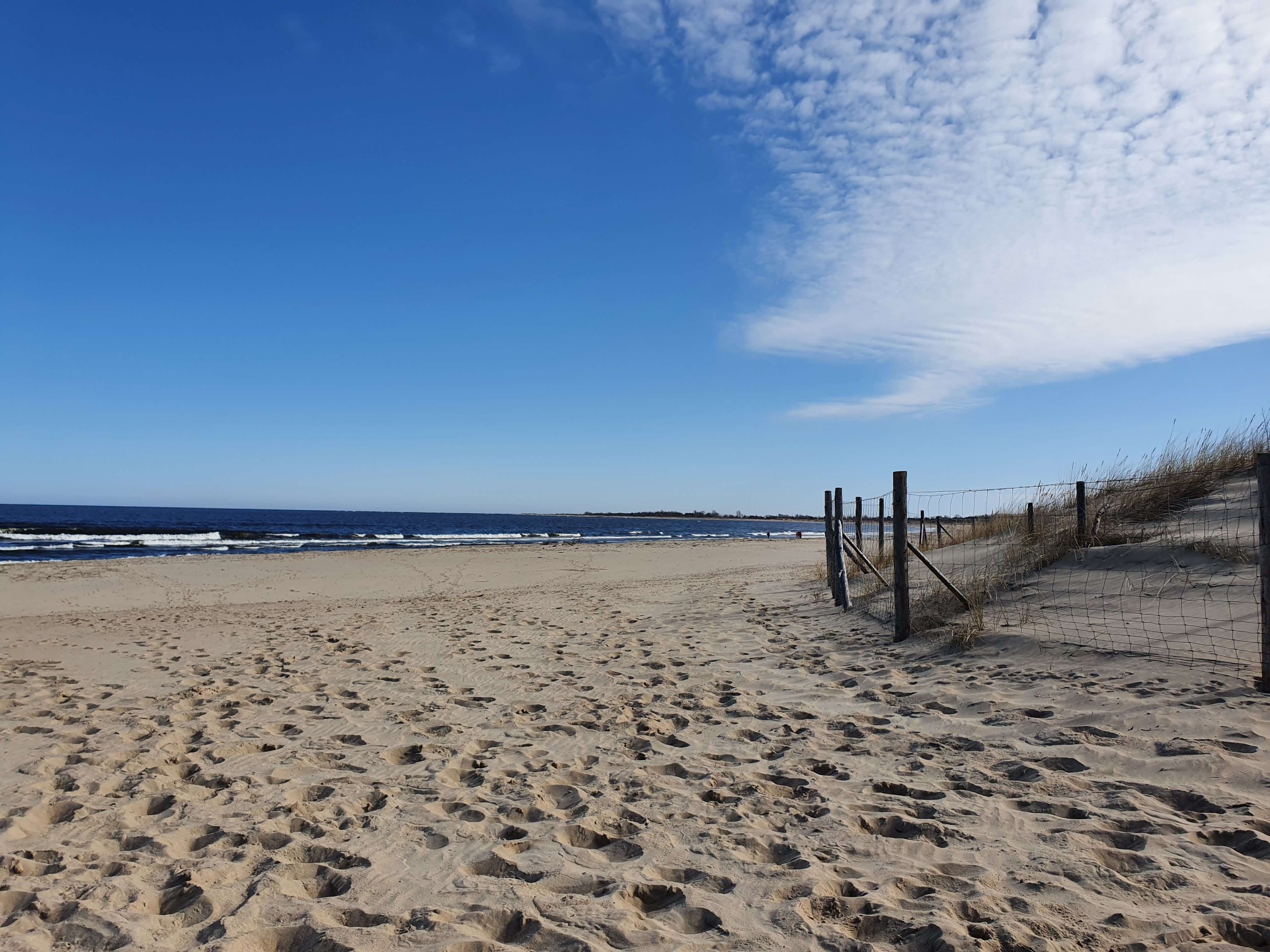 Plaża Wyspa Sobieszewska