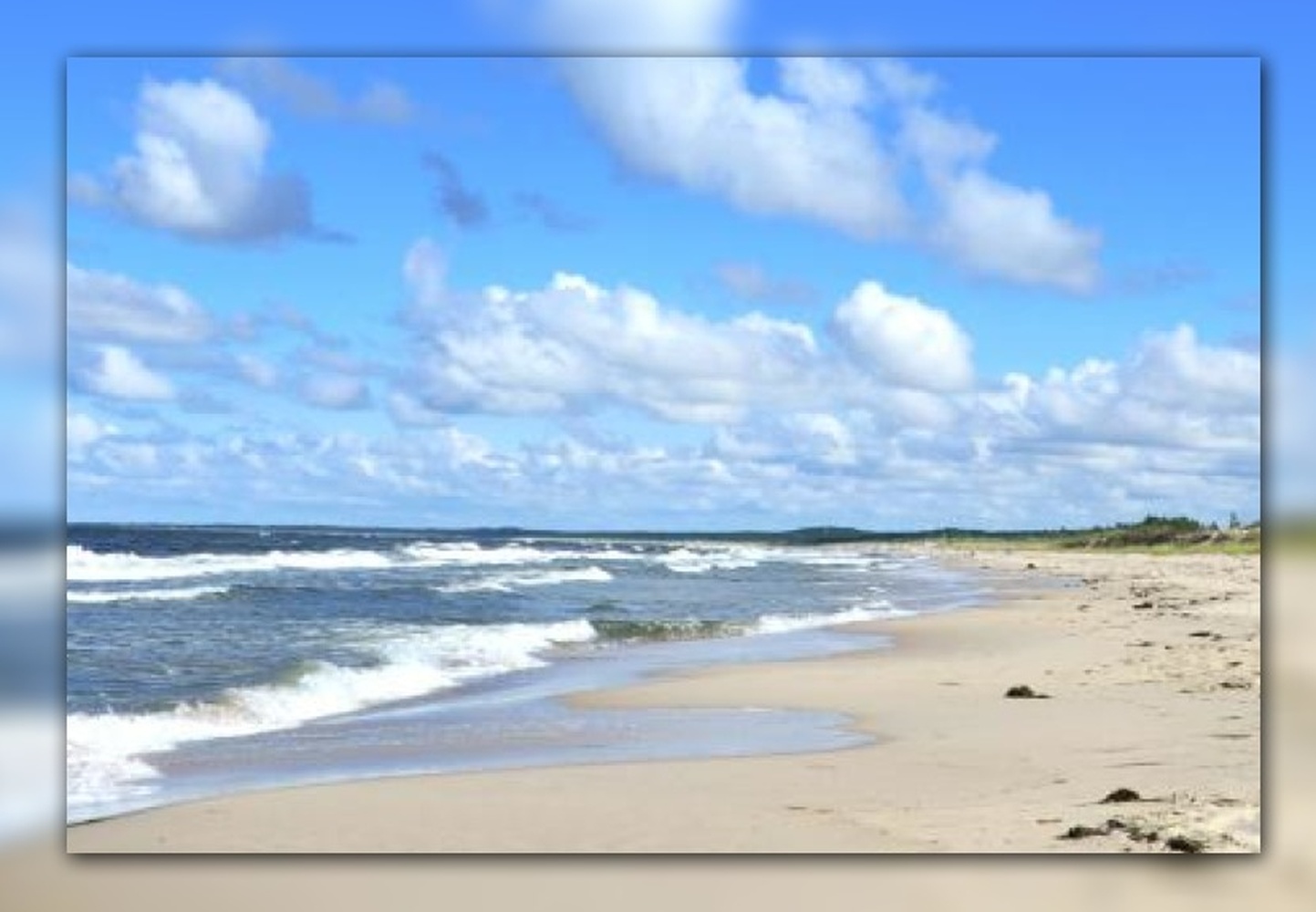 Domki letniskowe na wyspie sobieszewskiej